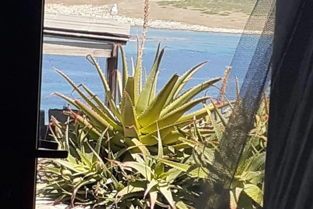 Feriehus Casa Capo Falcone - Terraced House With Wonderful Sea View - Stintino